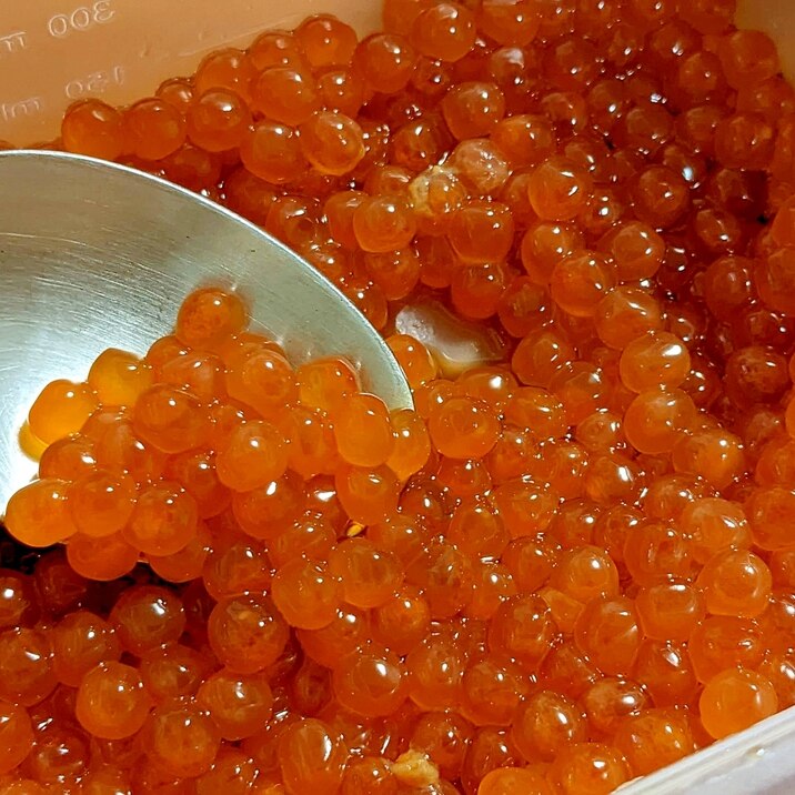 筋子から作る!いくらの醤油漬け